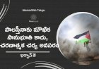 పాలస్తీనాకు మౌఖిక సానుభూతి కాదు, ఆచరణాత్మక చర్య అవసరం